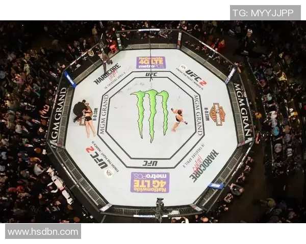 MMA格斗之夜最震撼KO瞬间集锦爆发强力对决激烈瞬间回顾 MMA格斗之夜最震撼KO瞬间集锦爆发强力对决激烈瞬间回顾